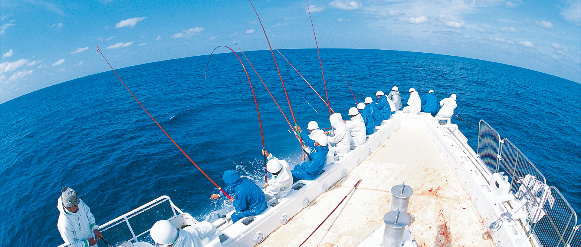 作品に関する風景画像