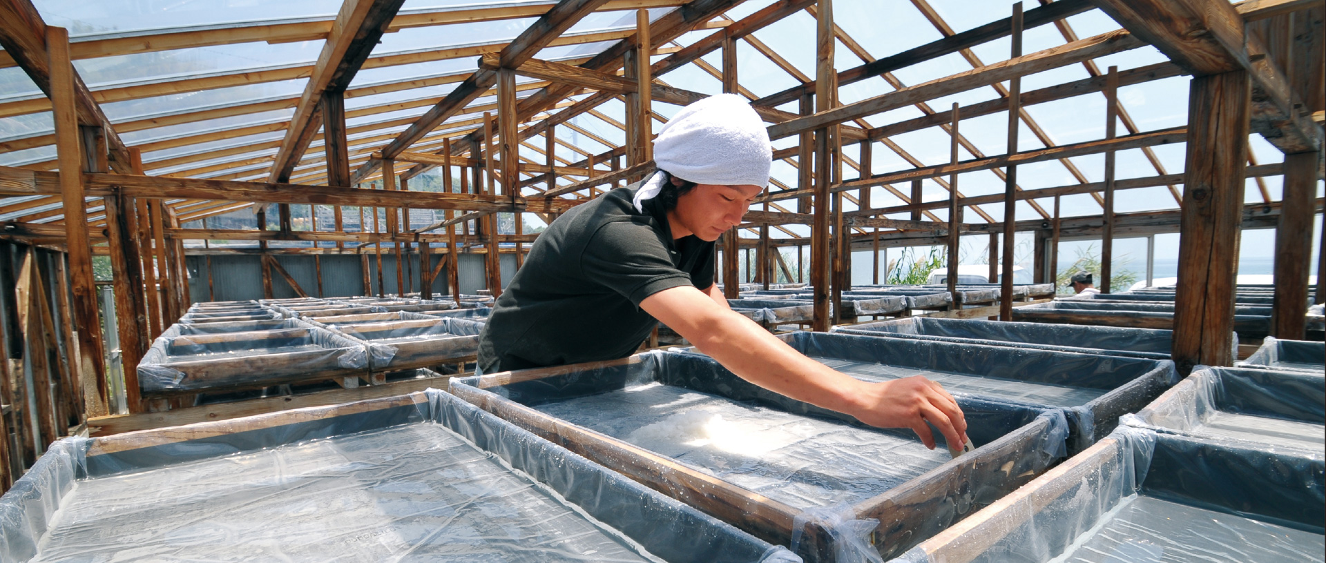 作品に関する風景画像