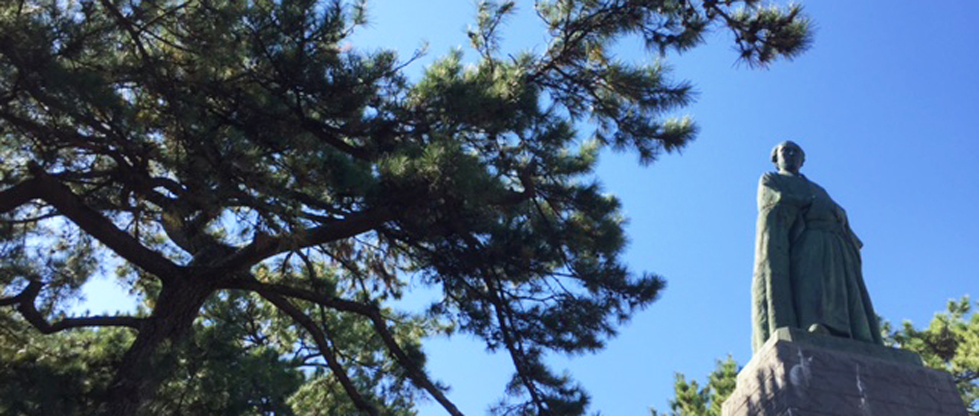 作品に関する風景画像