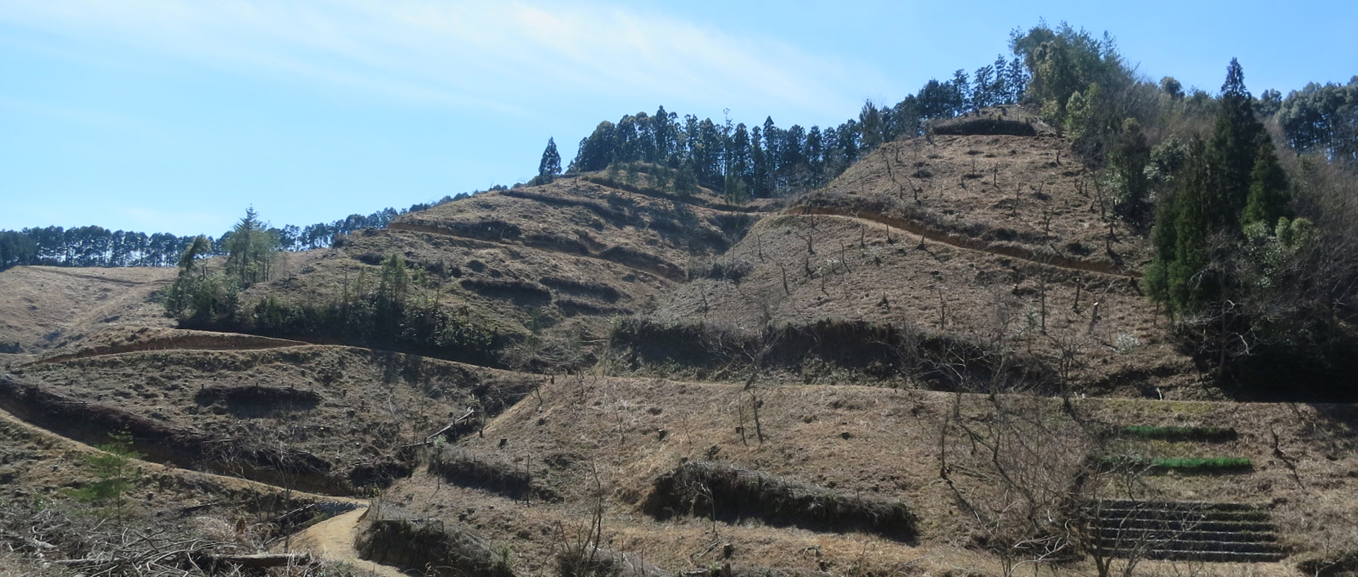 作品に関する風景画像