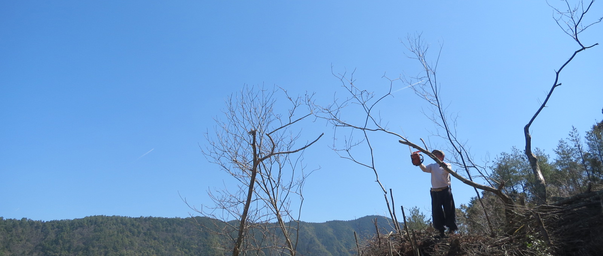 作品に関する風景画像