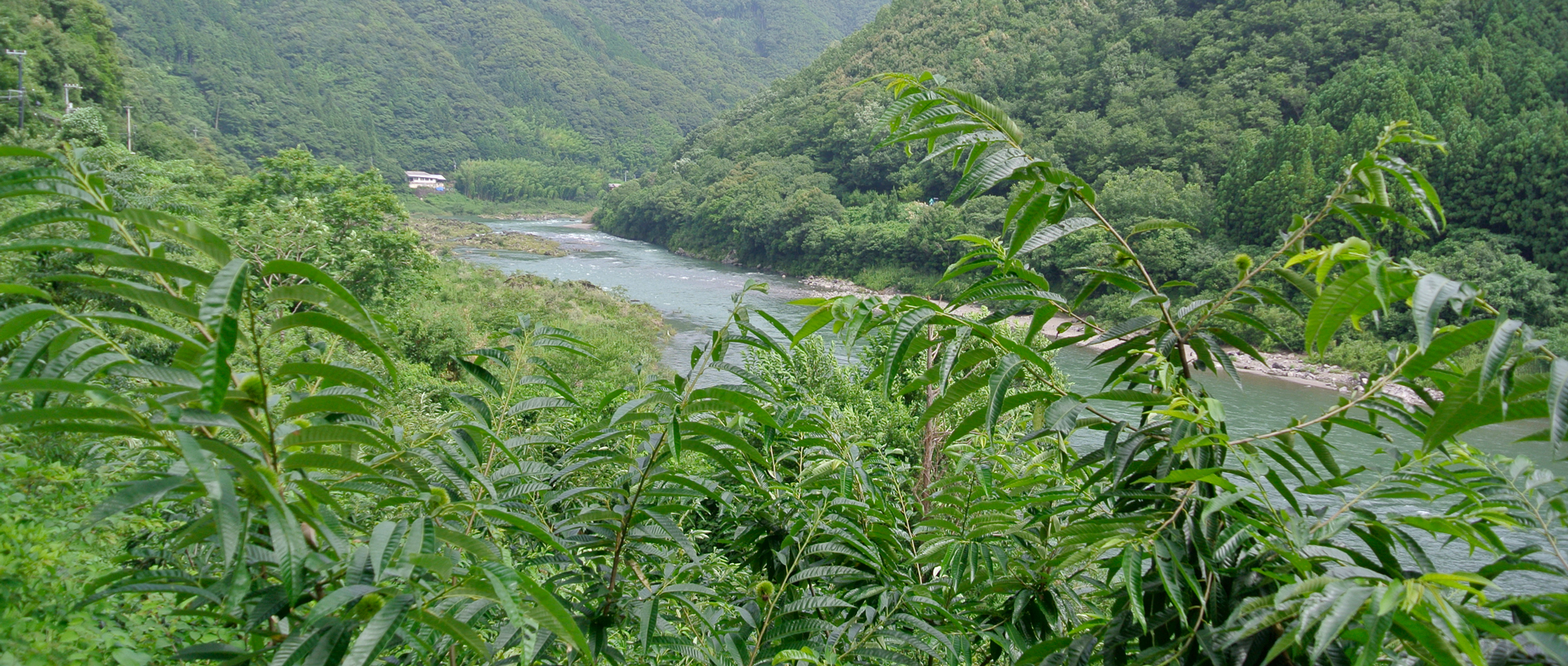 作品に関する風景画像