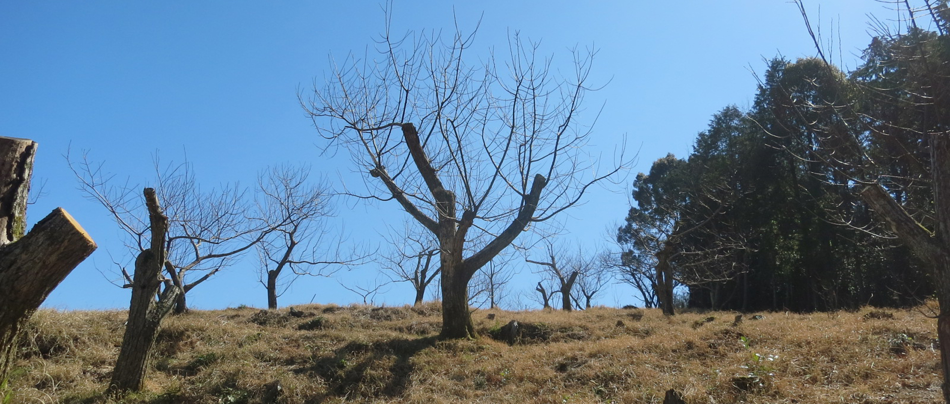 作品に関する風景画像