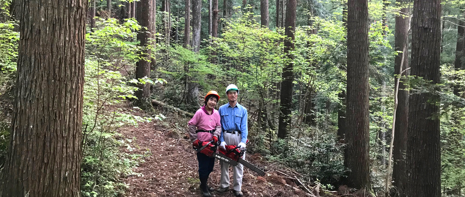 作品に関する風景画像