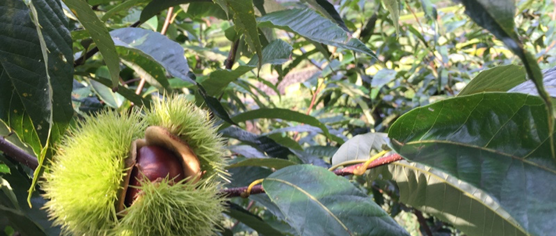 作品に関する風景画像