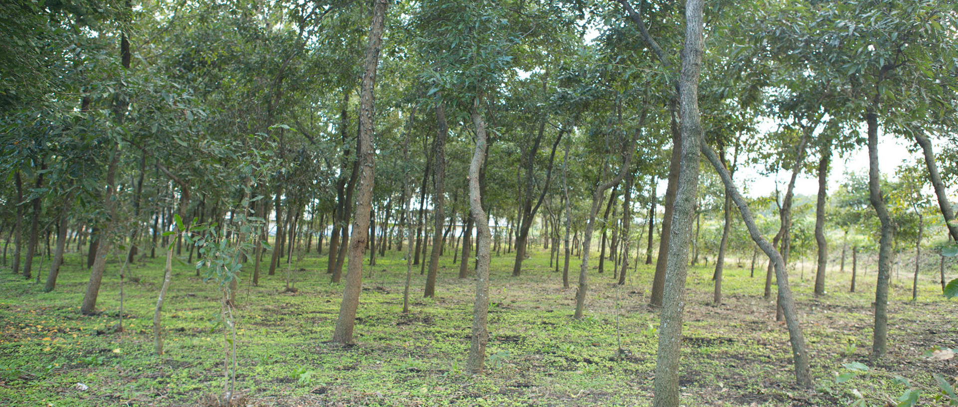 作品に関する風景画像