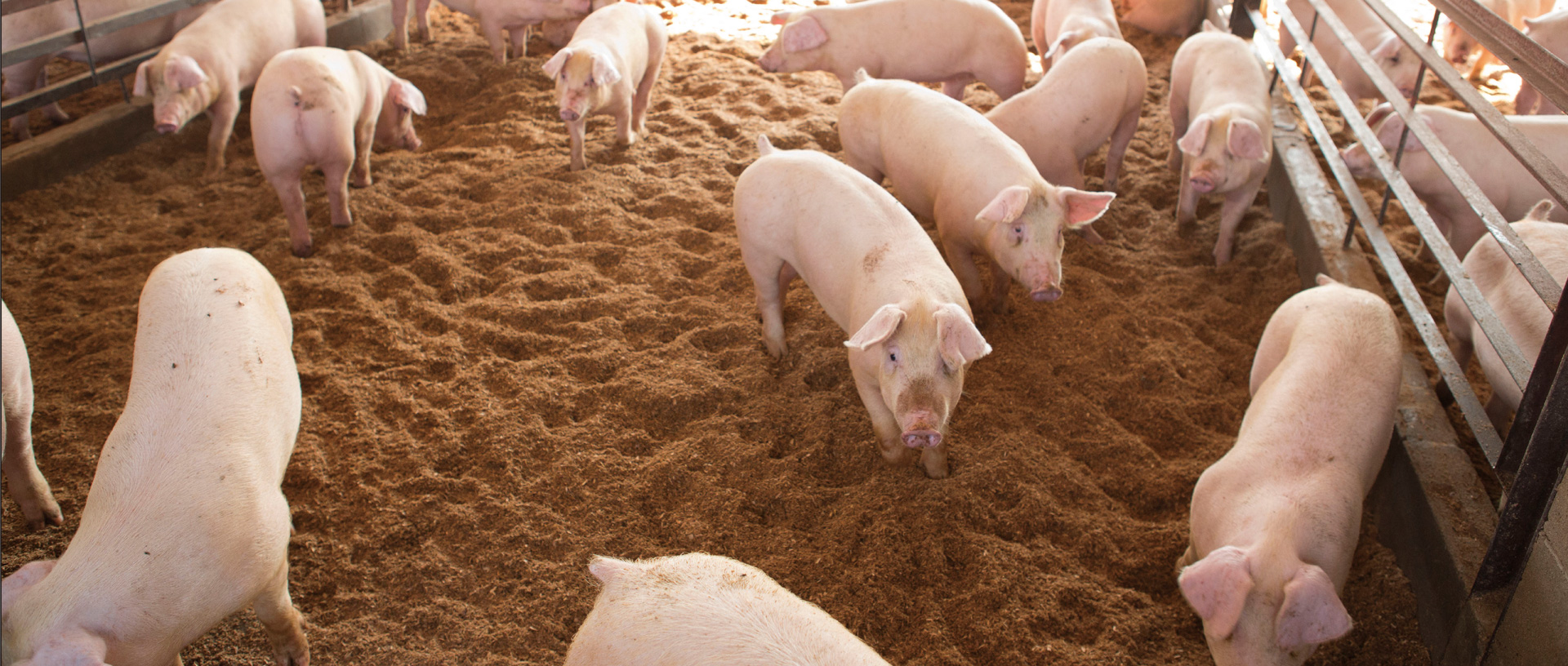 作品に関する風景画像