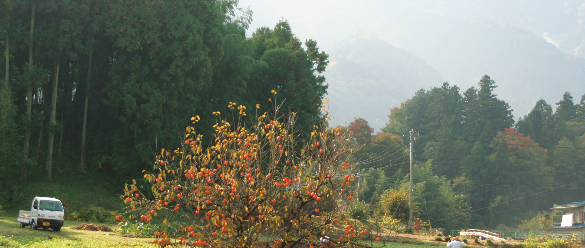 作品に関する風景画像