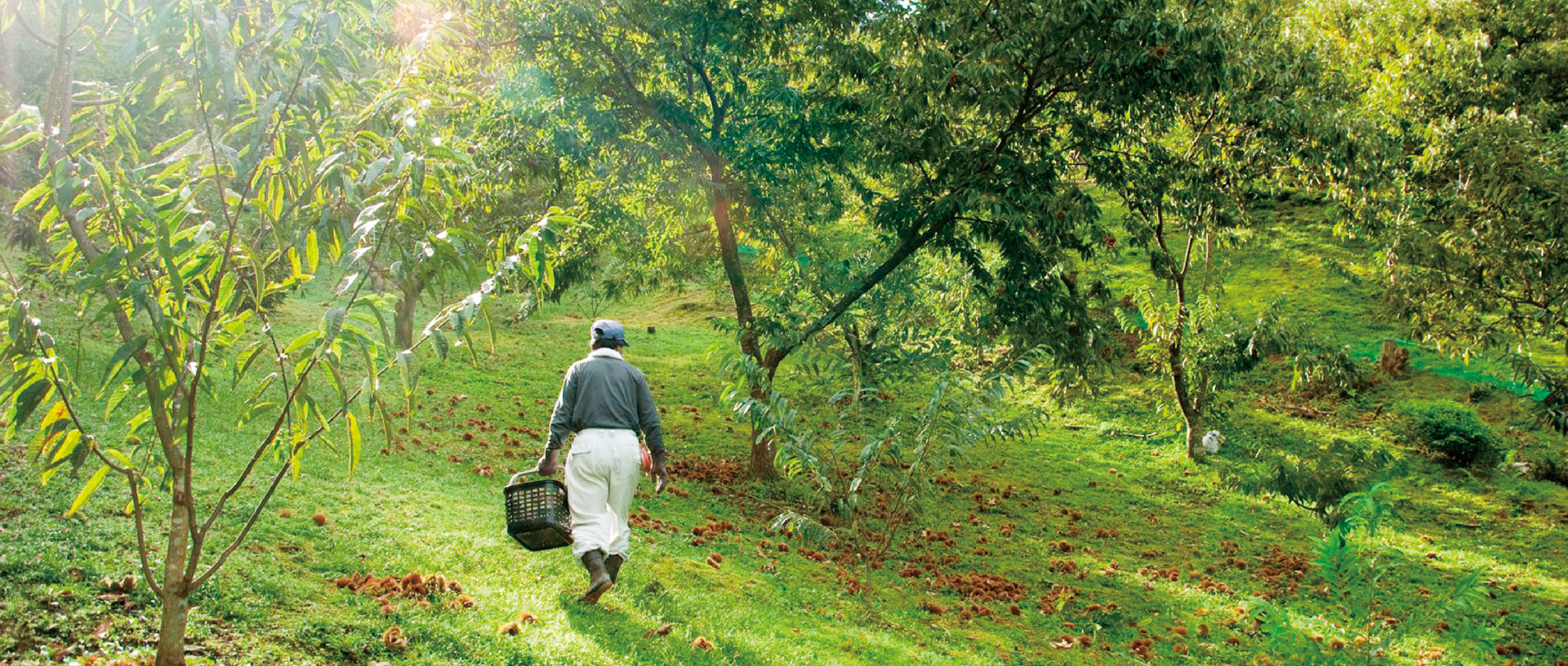 作品に関する風景画像