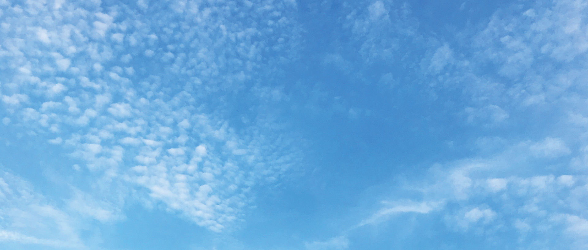 作品に関する風景画像