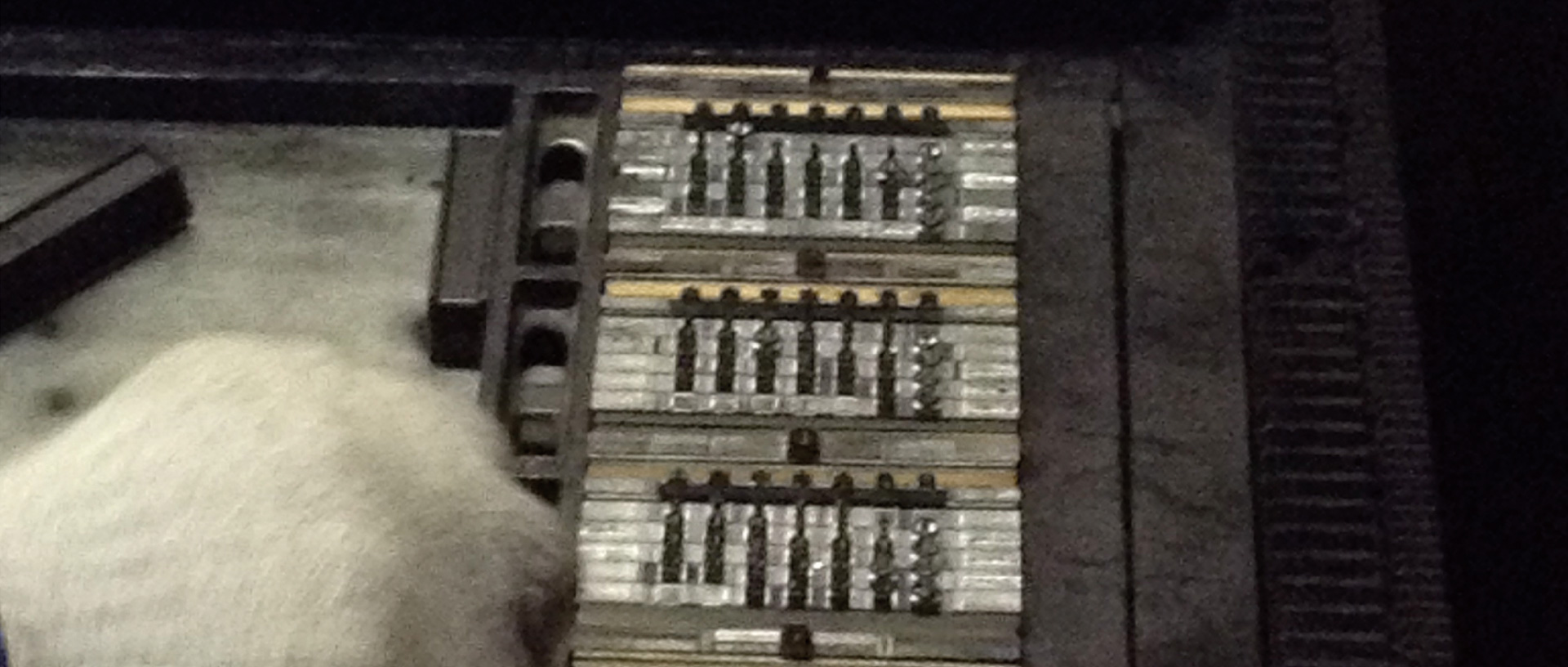 作品に関する風景画像