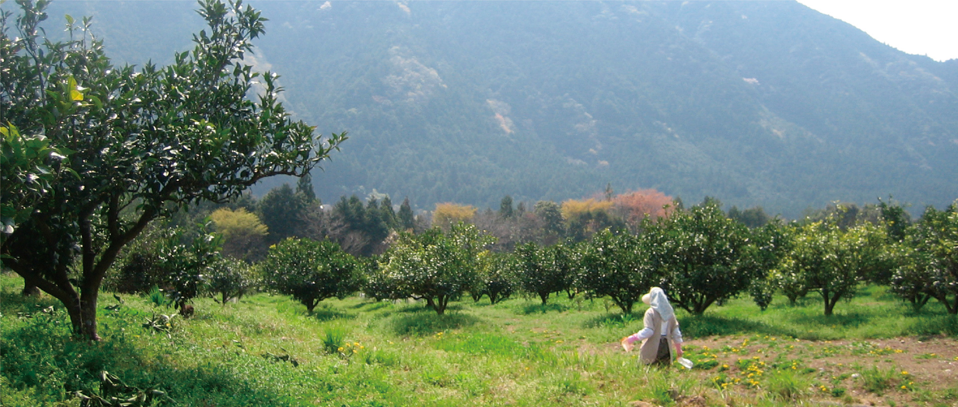 作品に関する風景画像