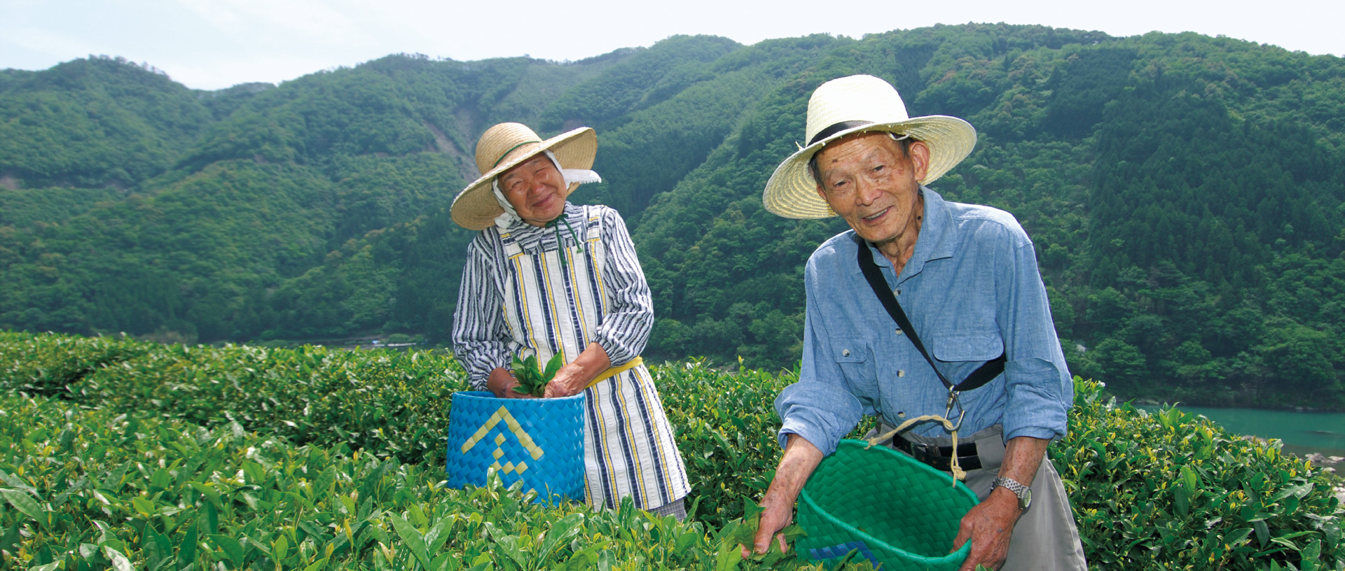 作品に関する風景画像