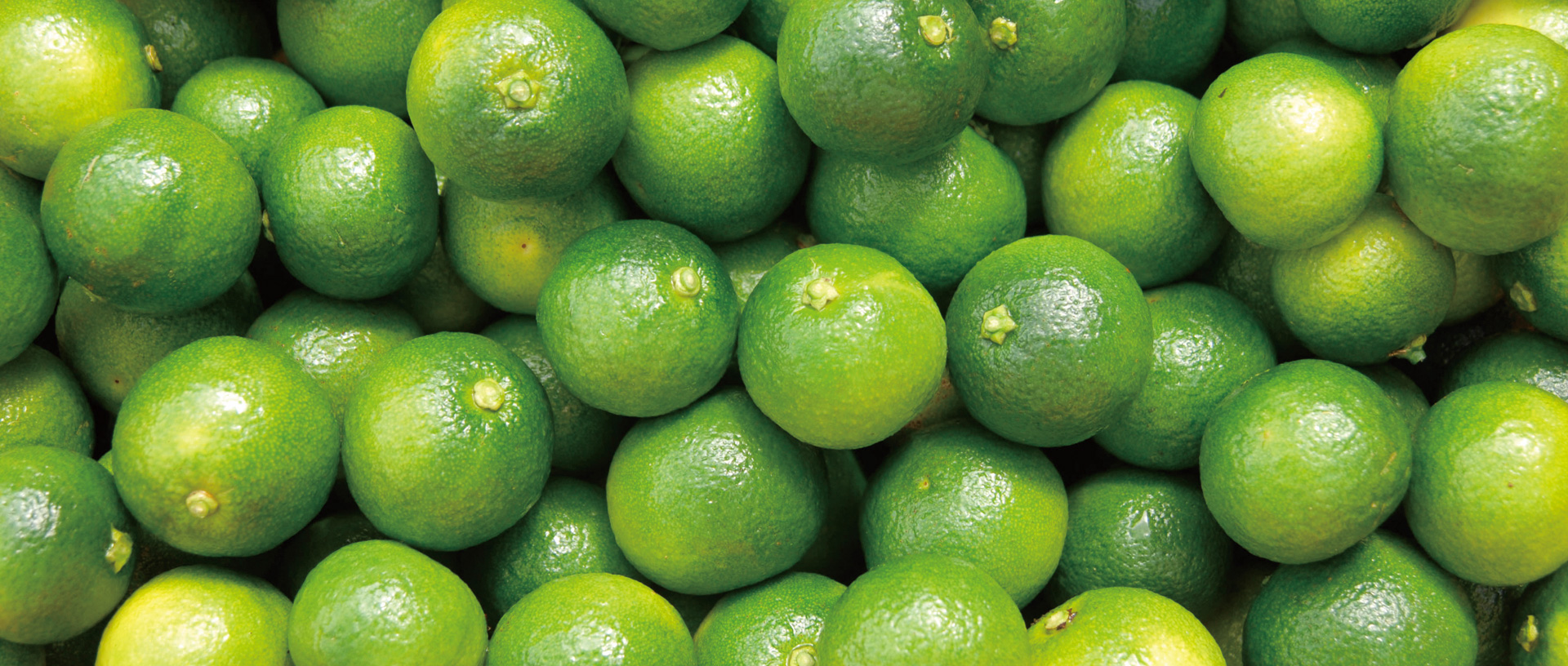 作品に関する風景画像