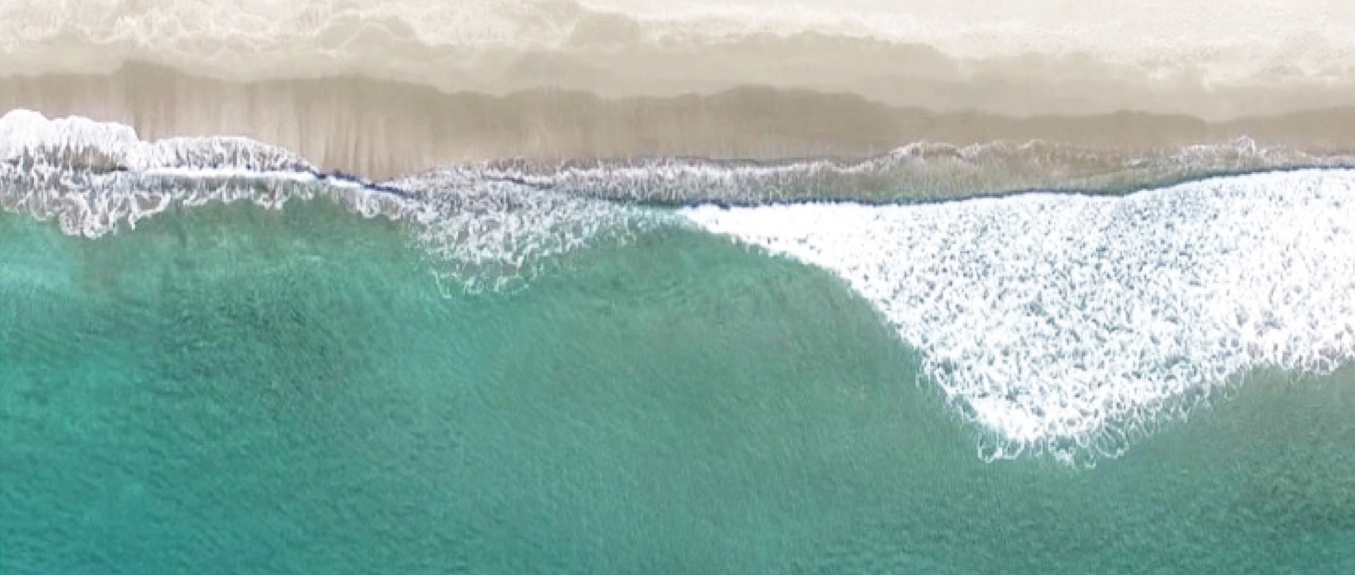 作品に関する風景画像