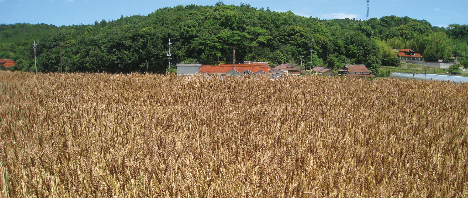 作品に関する風景画像