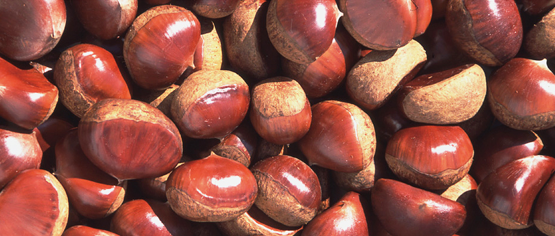 作品に関する風景画像