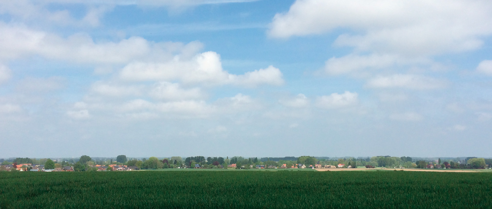 作品に関する風景画像