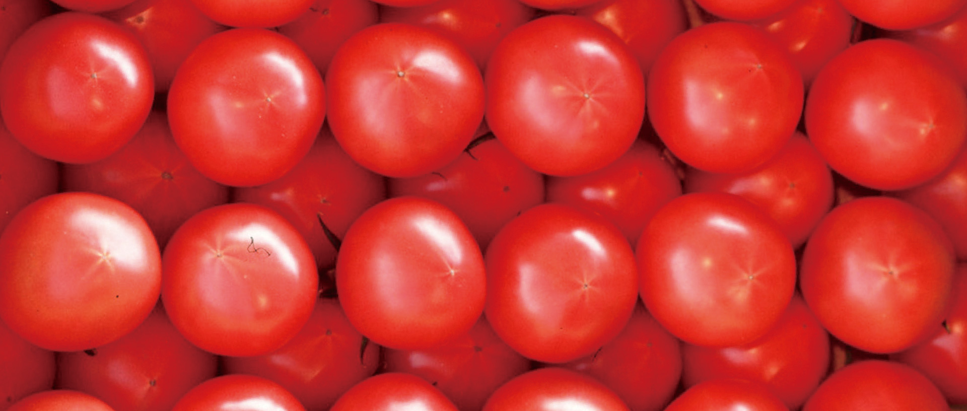 作品に関する風景画像