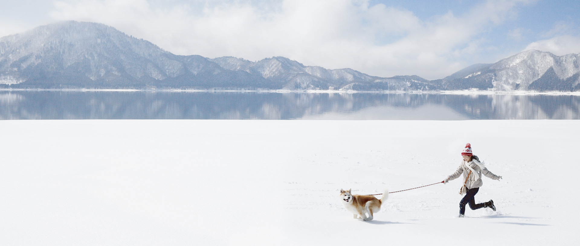 作品に関する風景画像