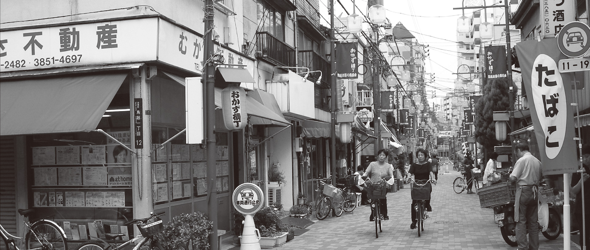 作品に関する風景画像