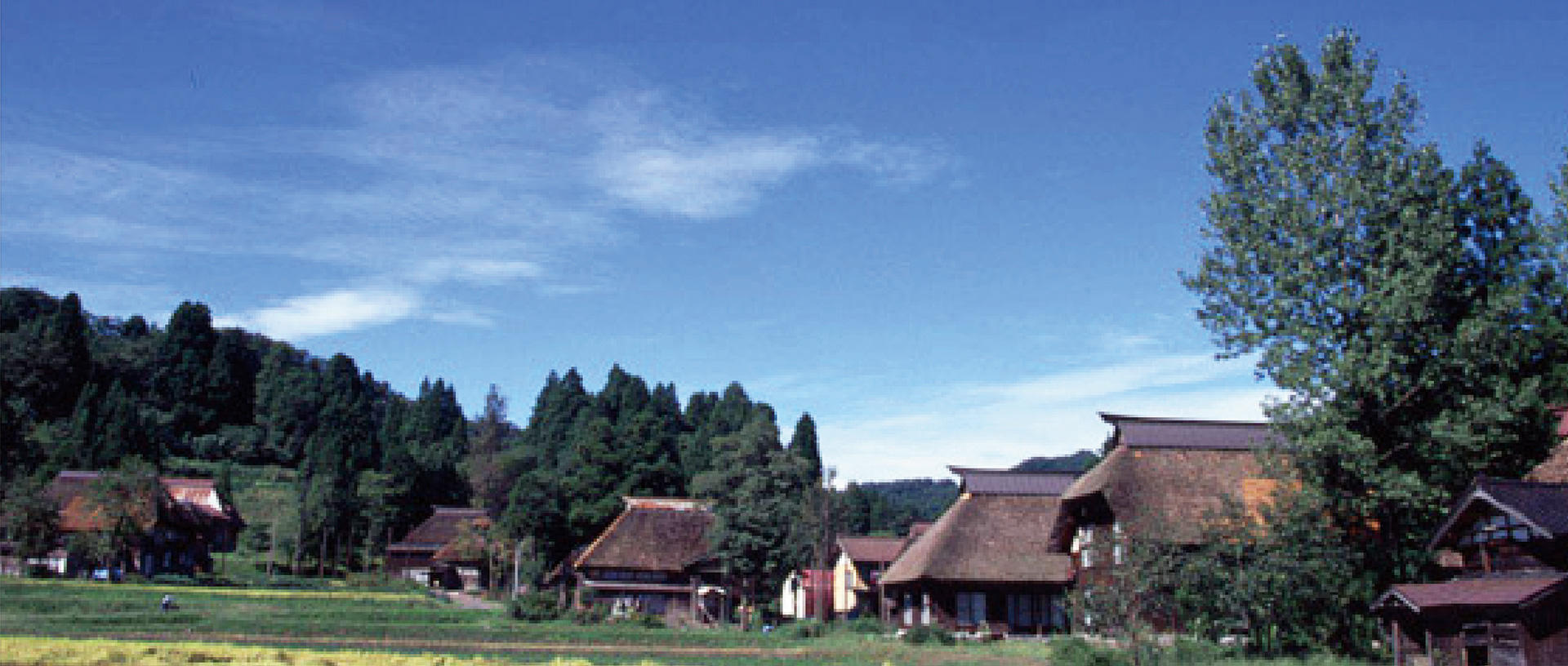 作品に関する風景画像