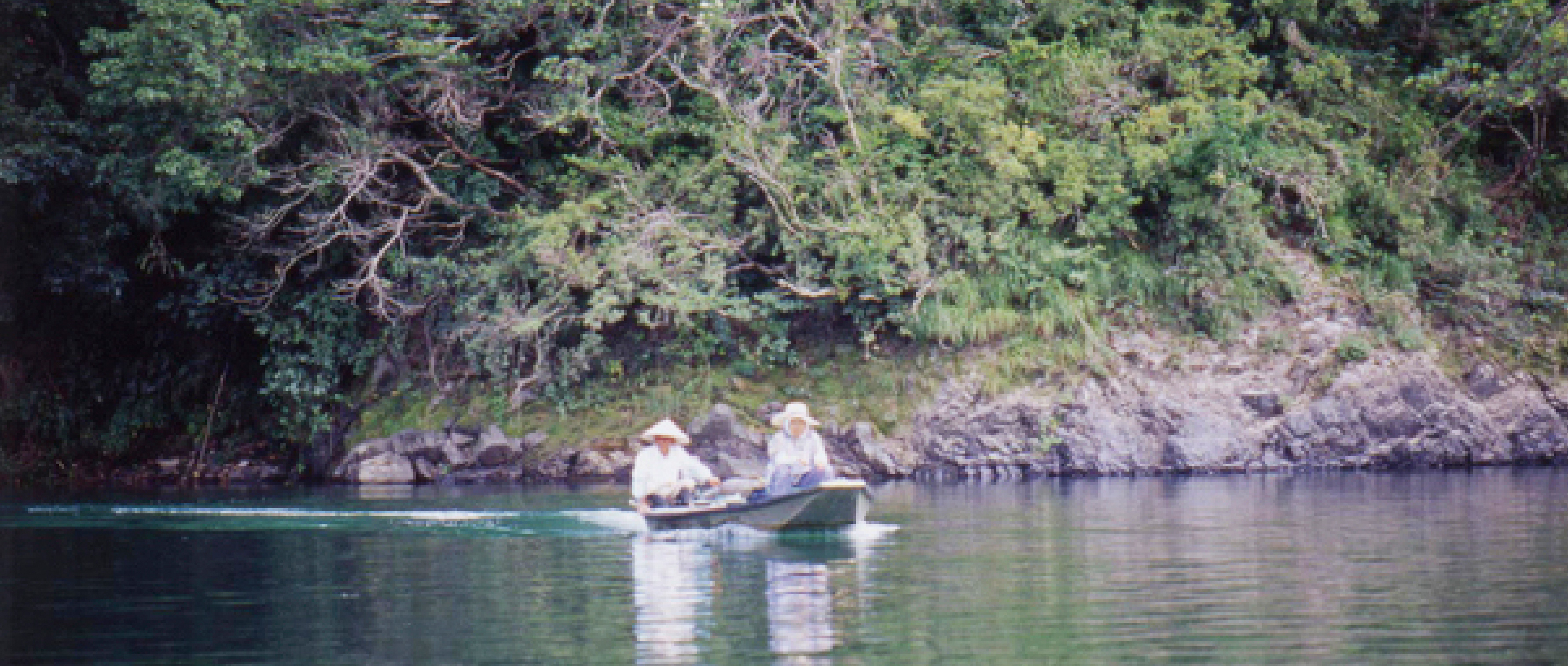 作品に関する風景画像