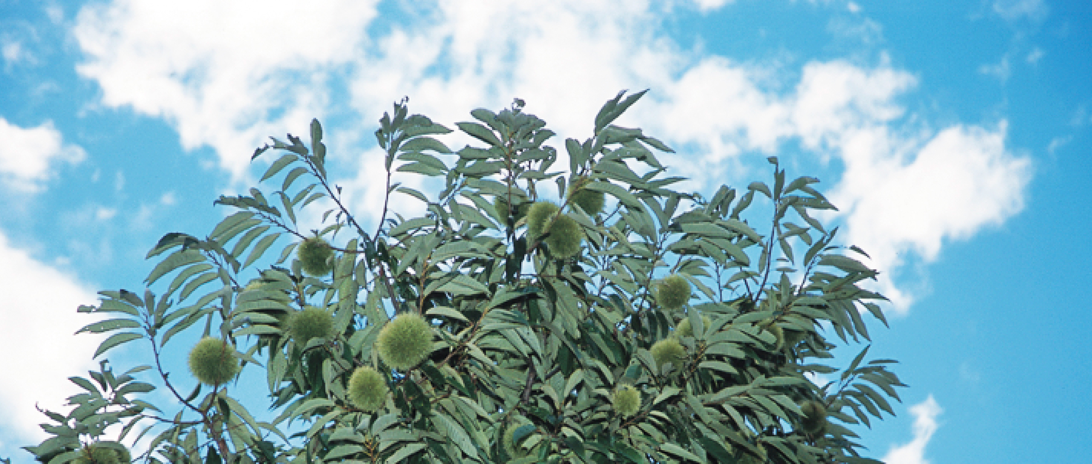 作品に関する風景画像