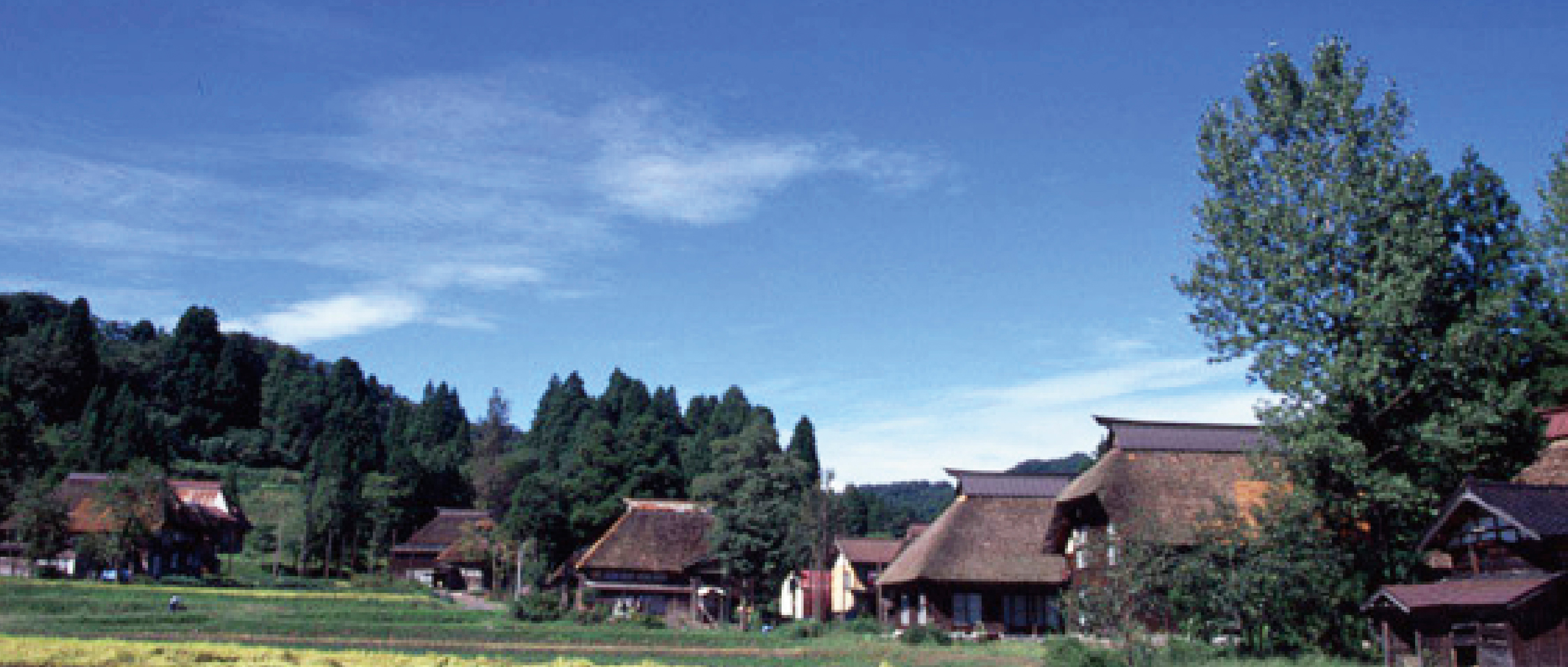 作品に関する風景画像