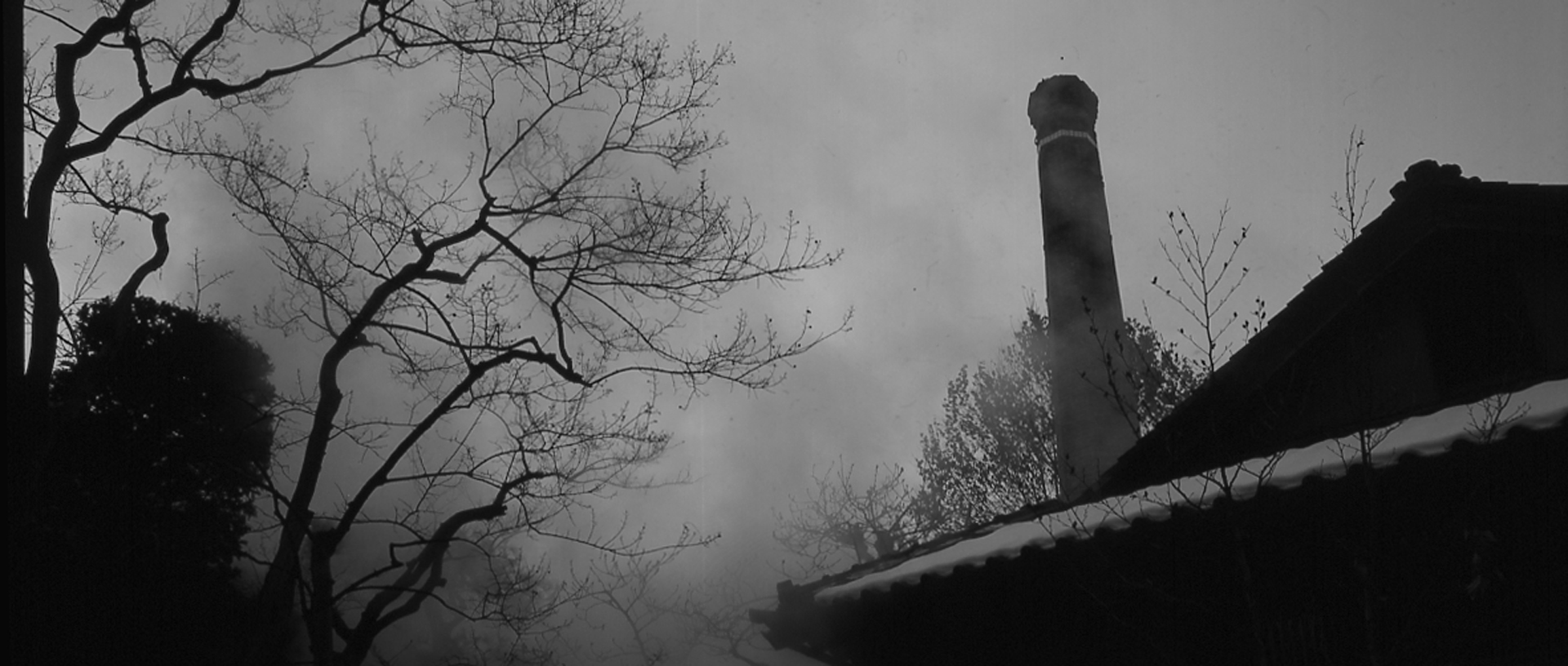 作品に関する風景画像