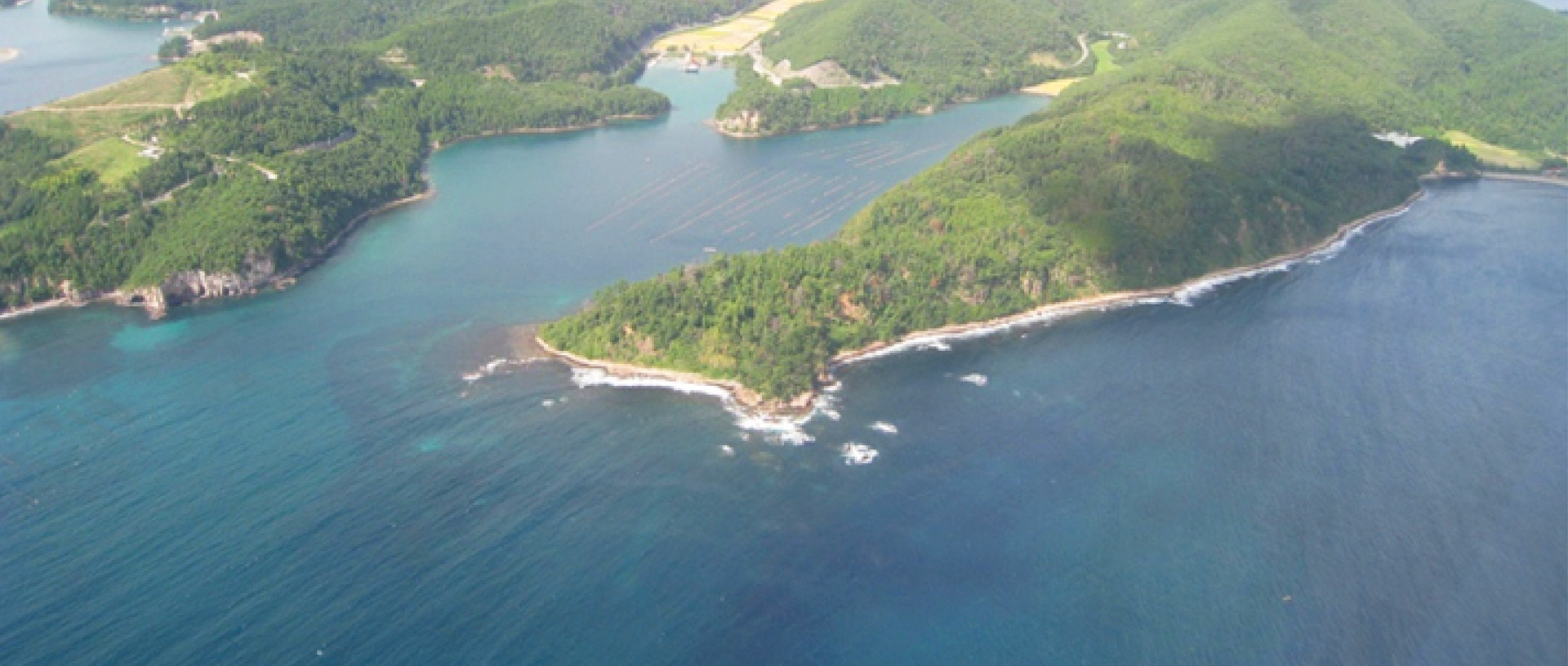 作品に関する風景画像