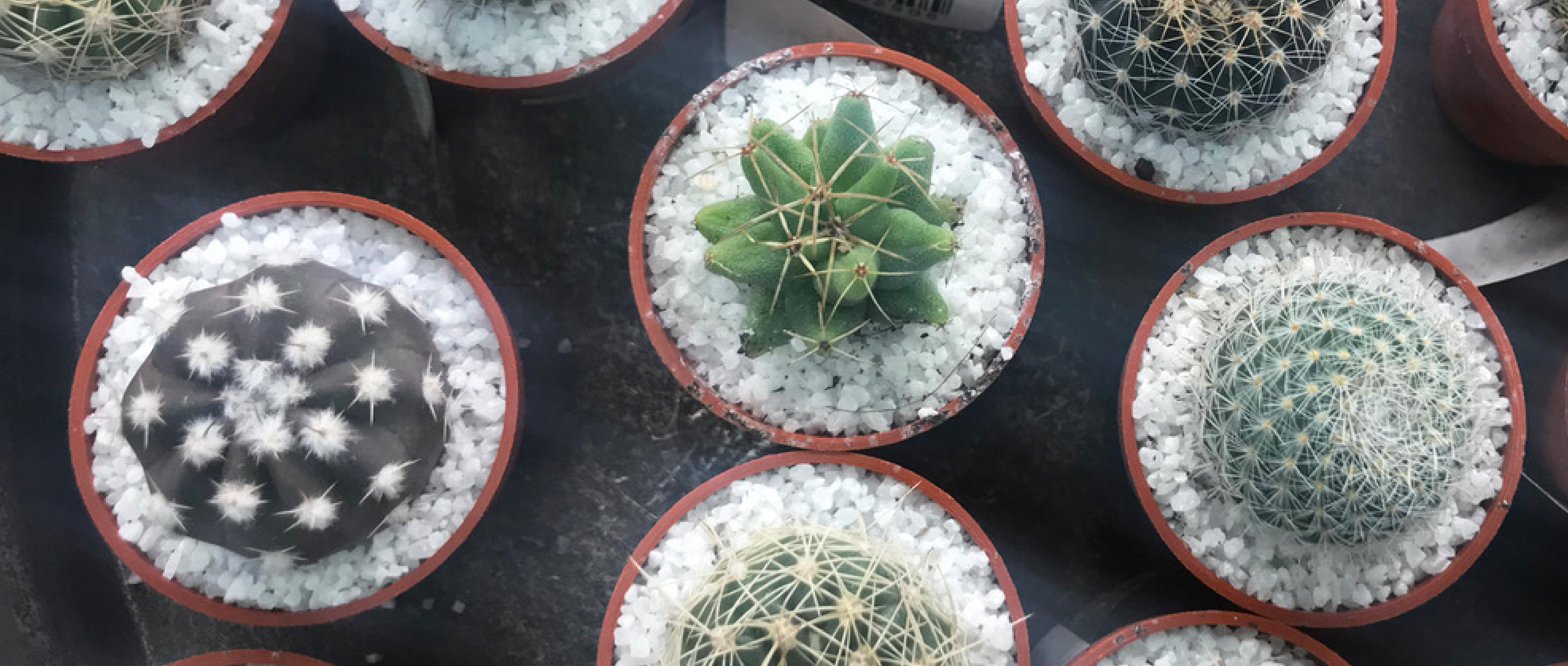 作品に関する風景画像