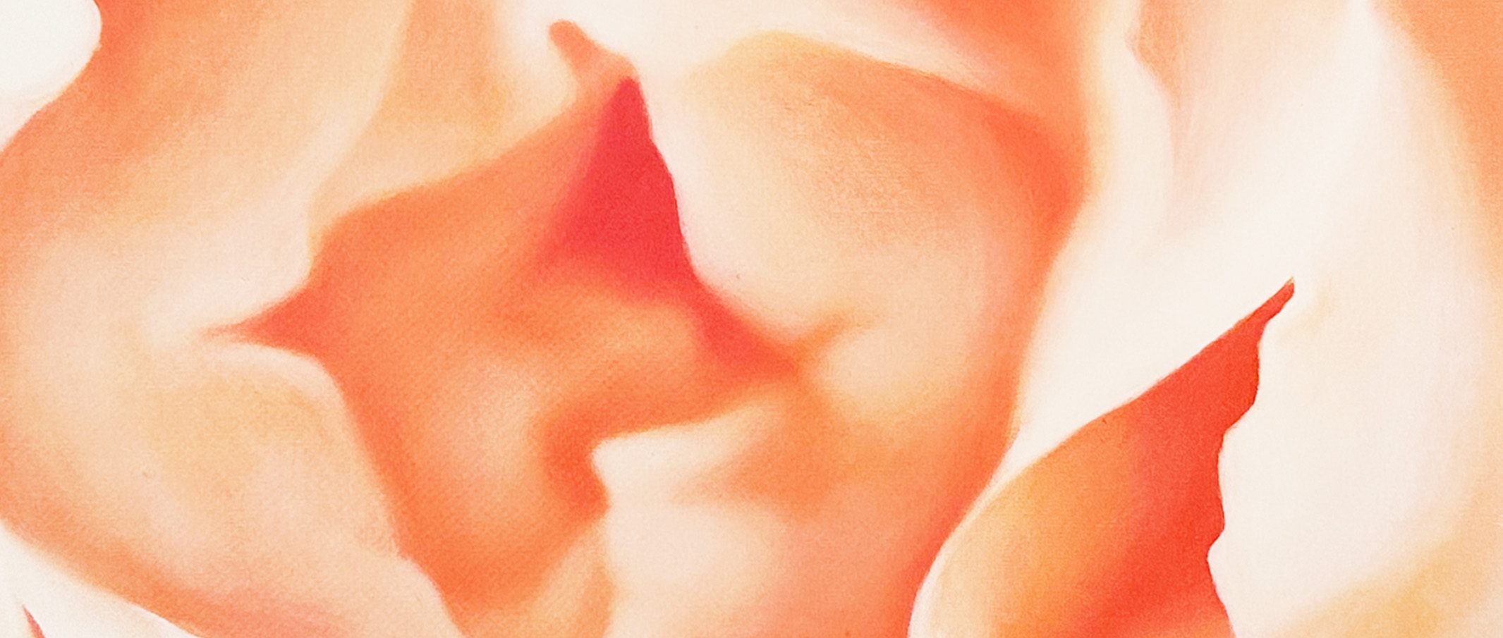 作品に関する風景画像