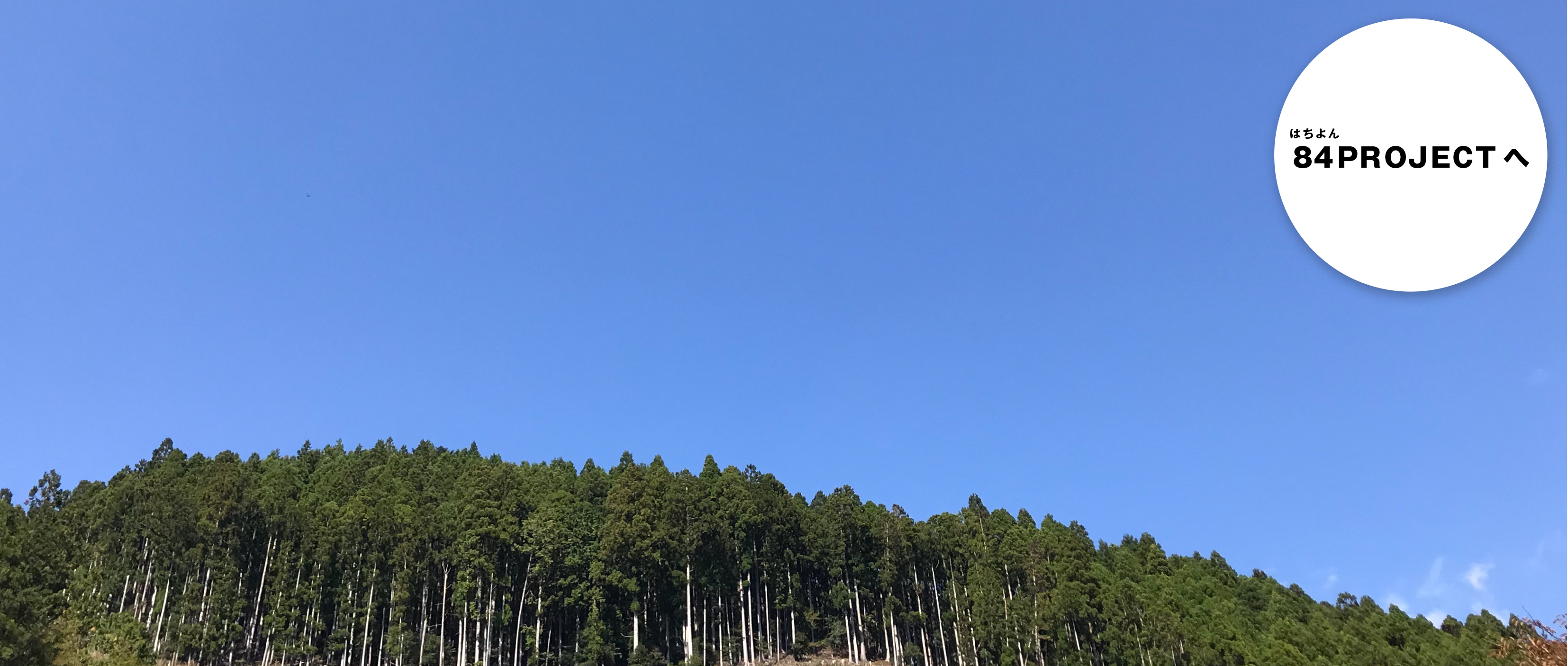 作品に関する風景画像