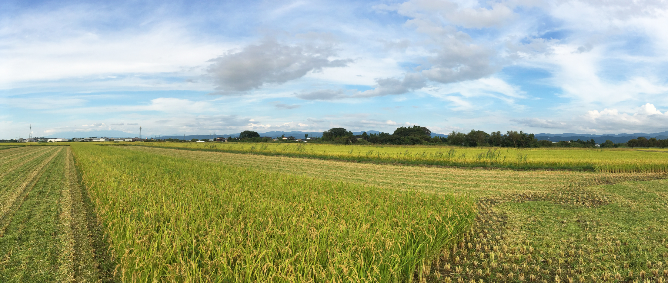 作品に関する風景画像