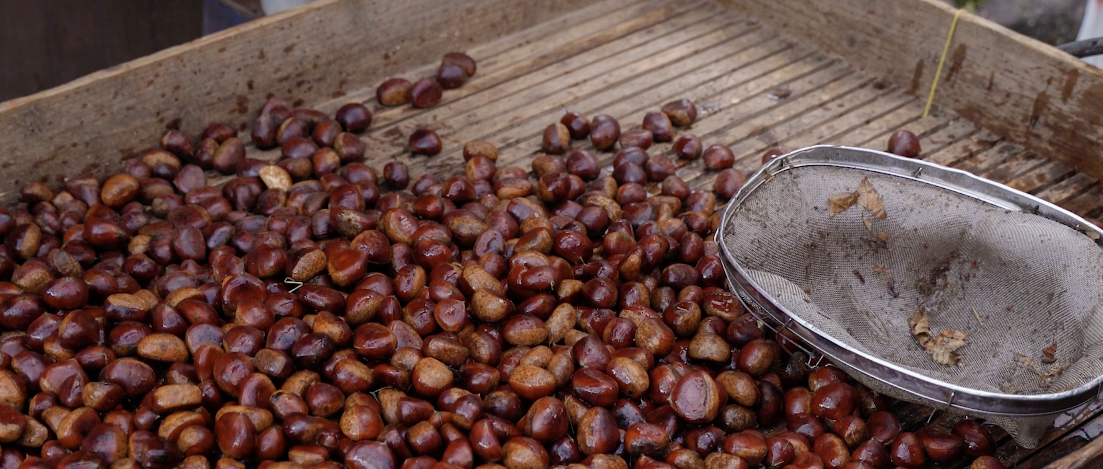 作品に関する風景画像