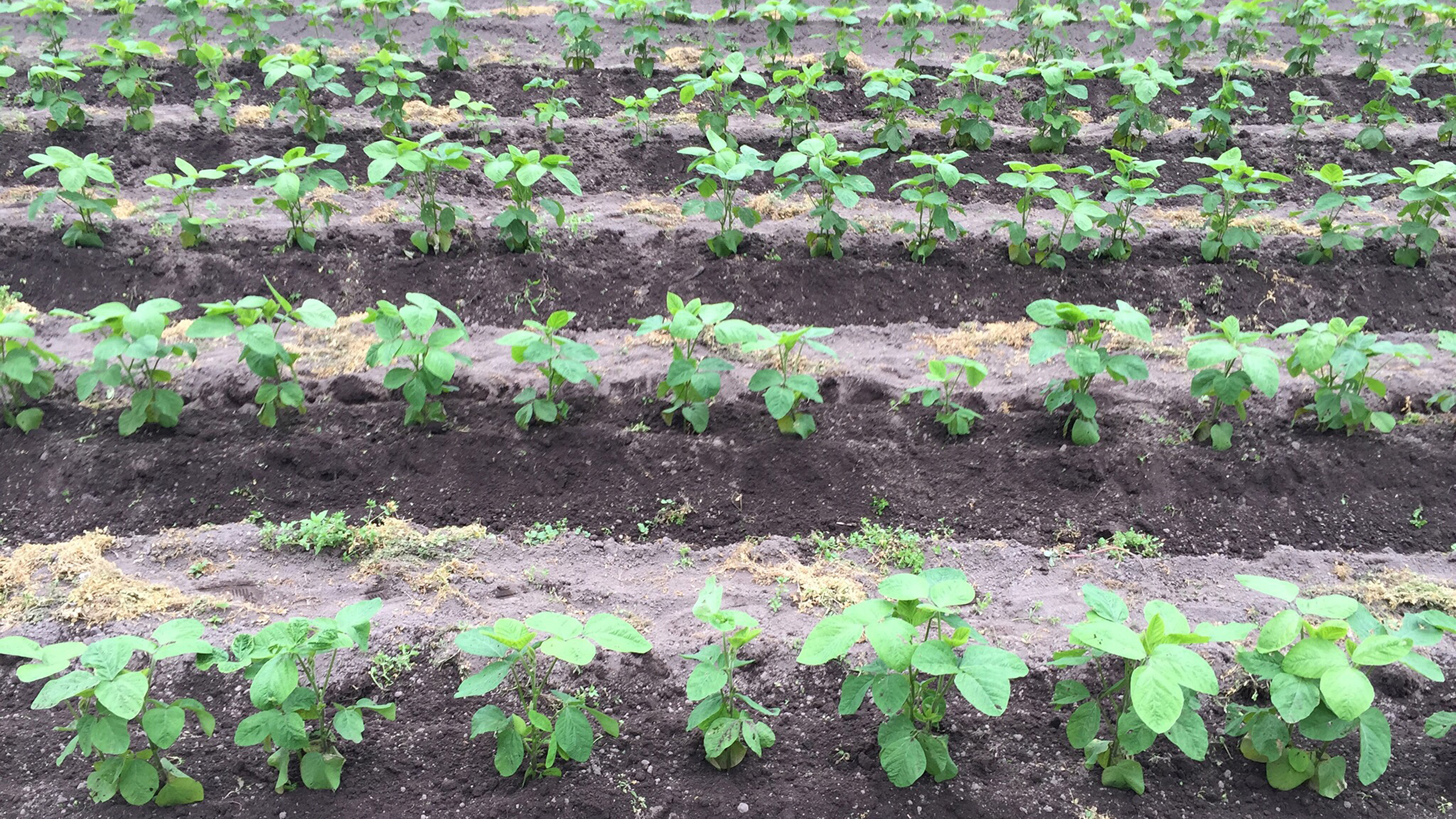 作品に関する風景画像