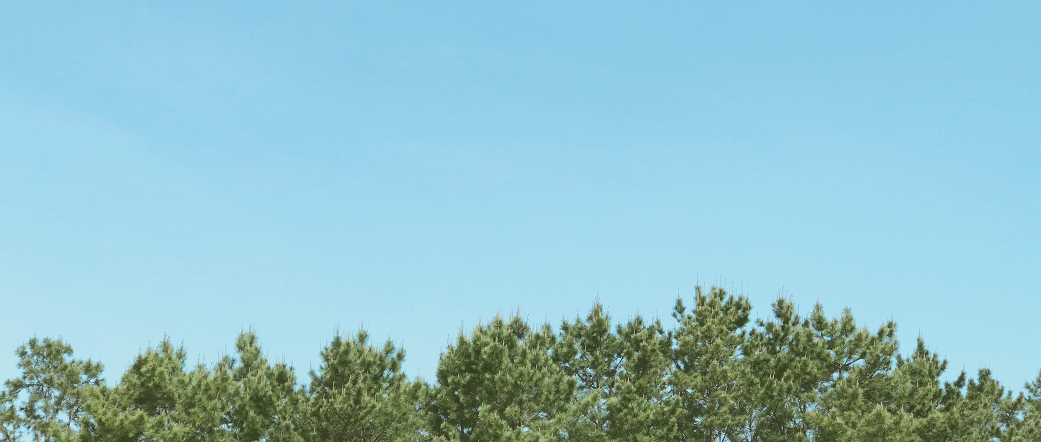 作品に関する風景画像