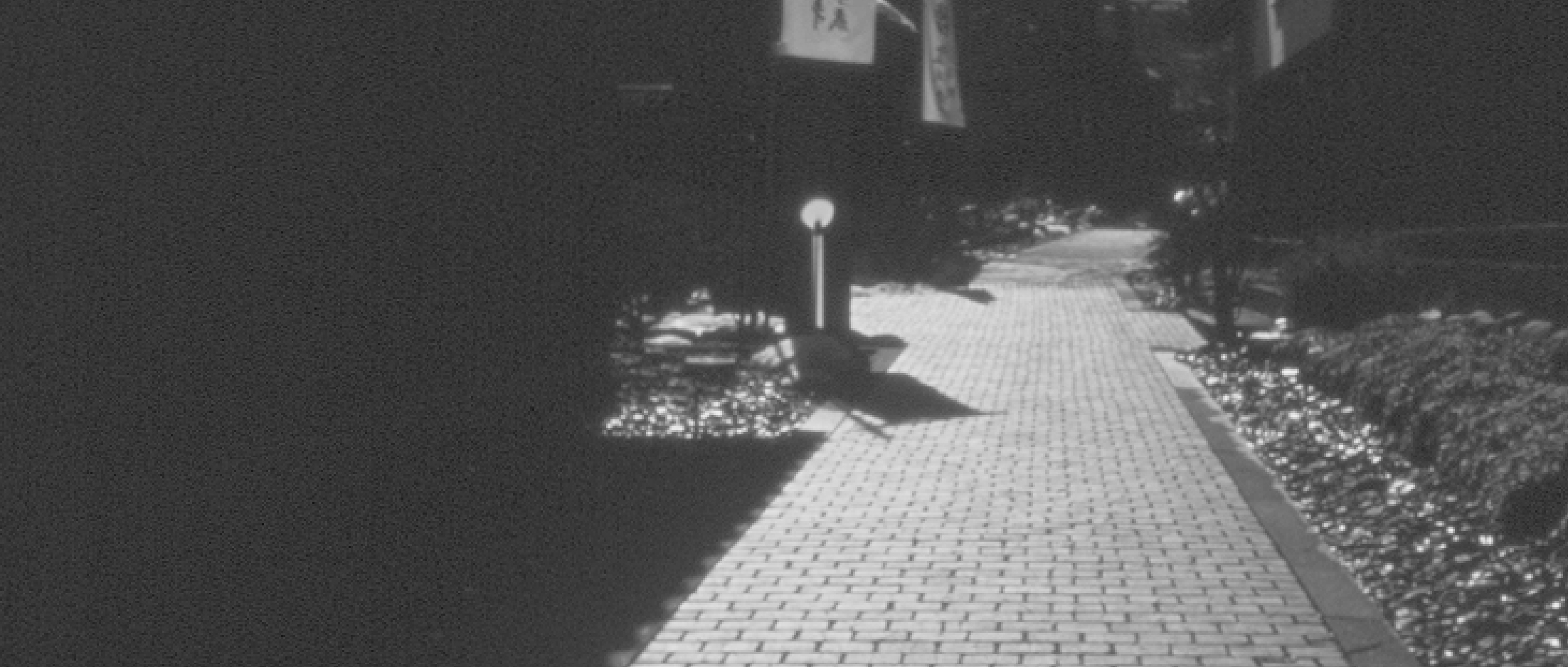 作品に関する風景画像