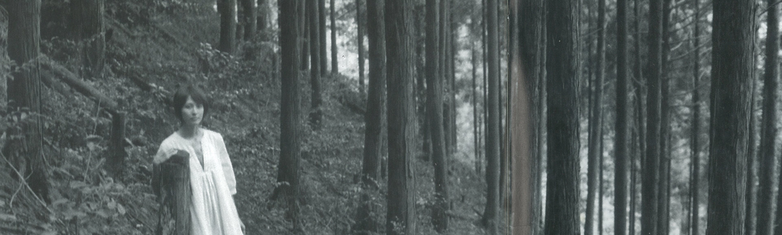 作品に関する風景画像