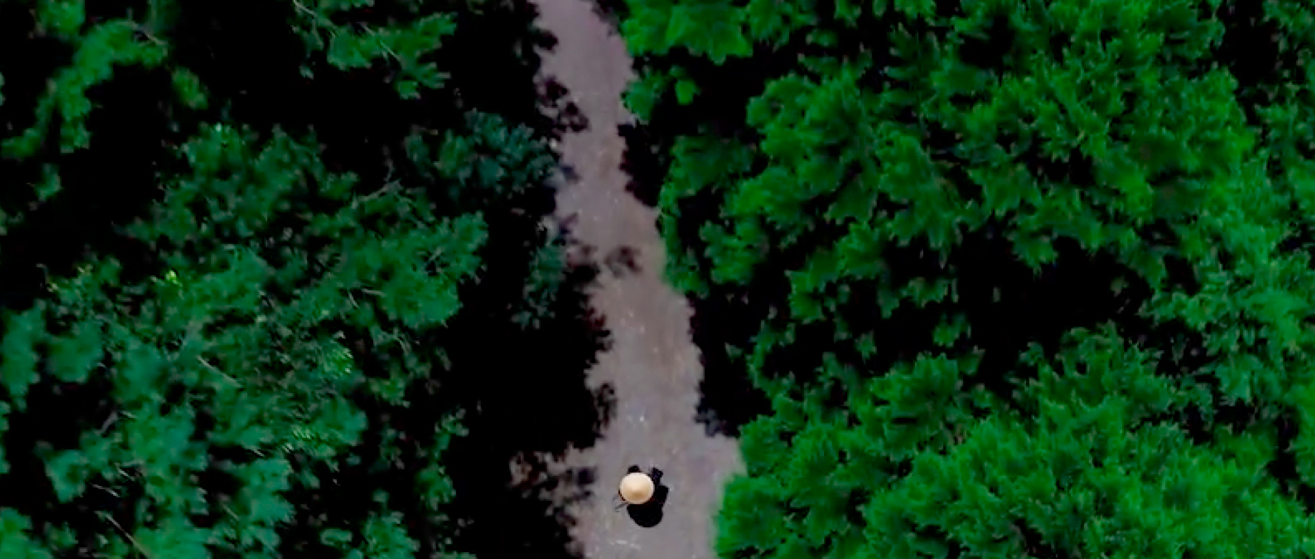 作品に関する風景画像