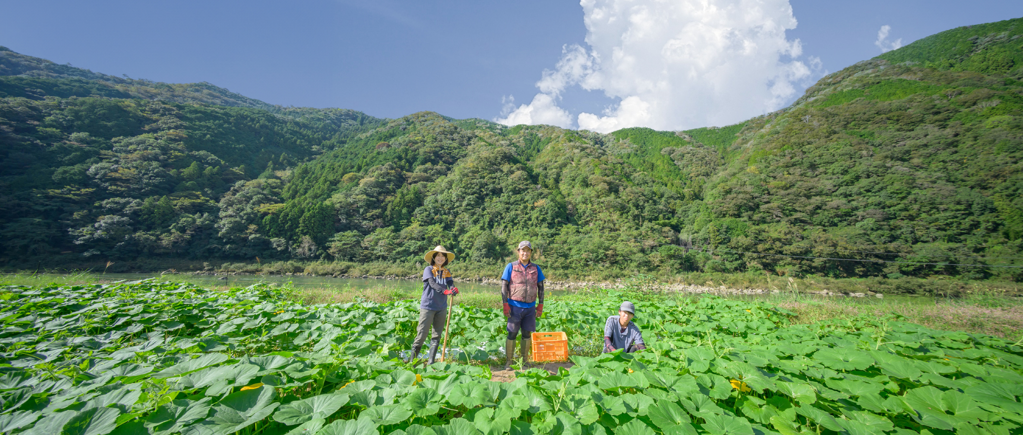 作品に関する風景画像