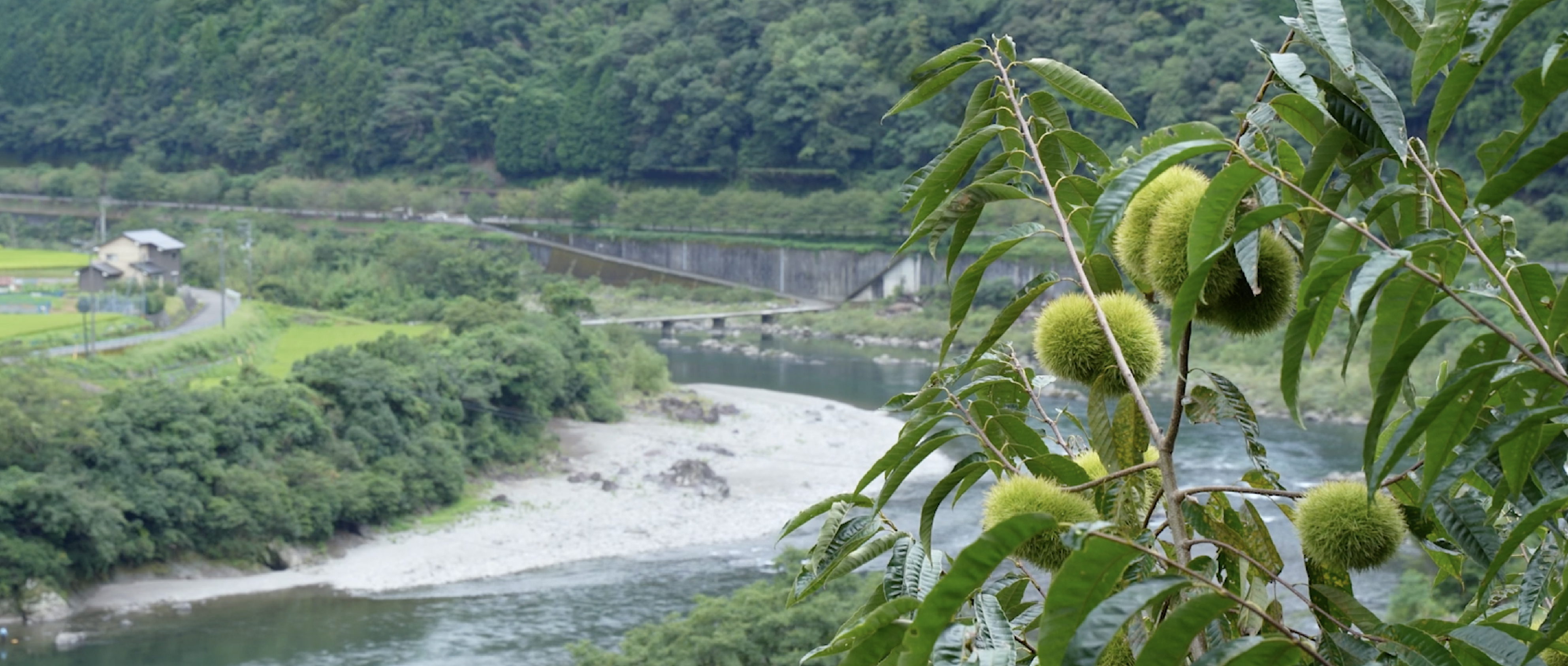 作品に関する風景画像