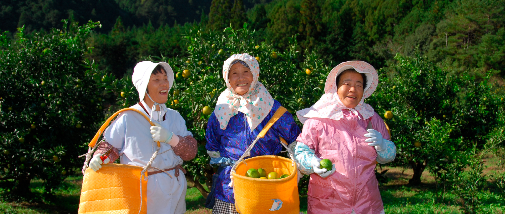 作品に関する風景画像